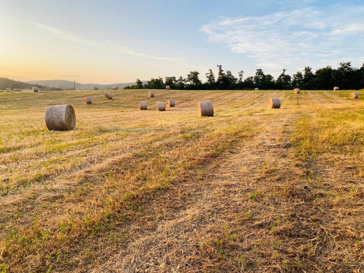 Podere La Selva Rapolano Terme Exterior foto