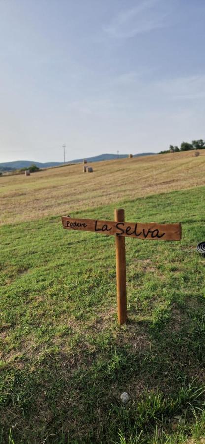Podere La Selva Rapolano Terme Exterior foto